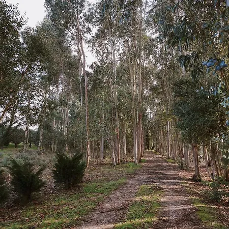 Casa Rural