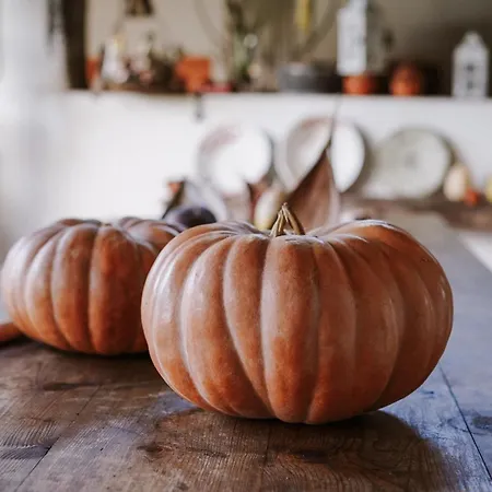 Casa Rural Oliveira do Bairro