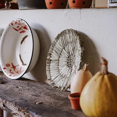 Casa Rural * Oliveira do Bairro