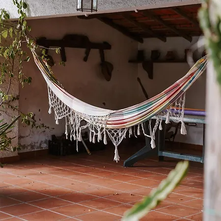 بيت للعطل Casa Rural أوليفيرا دو بايرو