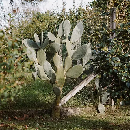 Casa Rural *
