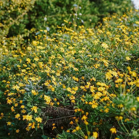 Casa Rural أوليفيرا دو بايرو
