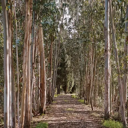 Casa Rural بيت للعطل