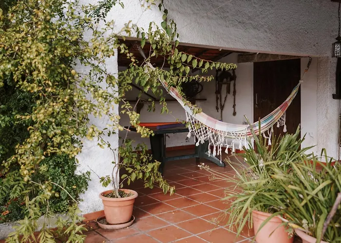 Tatil Evi Casa Rural Oliveira do Bairro