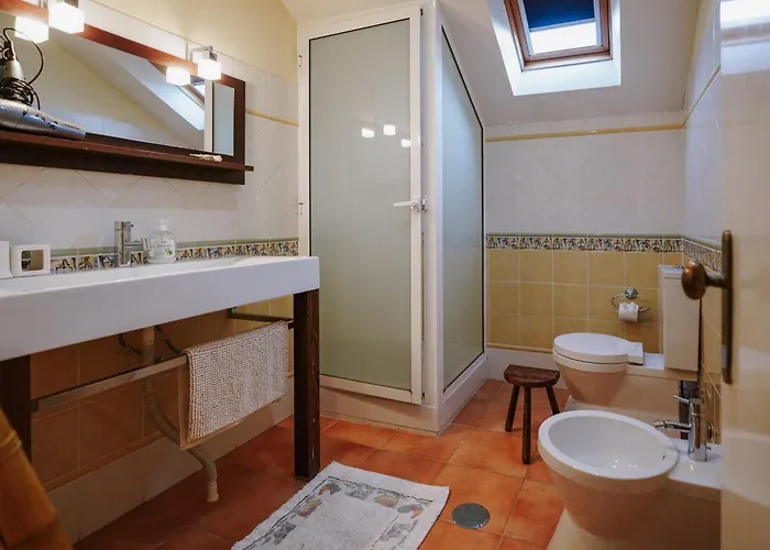 Casa Rural * Oliveira do Bairro