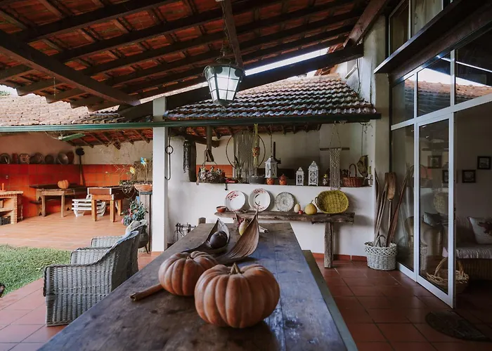 Tatil Evi Casa Rural Oliveira do Bairro