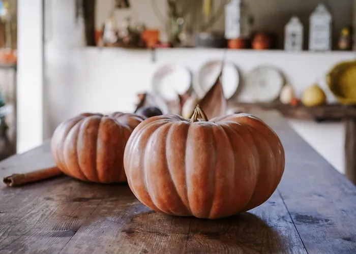 Casa Rural Oliveira do Bairro