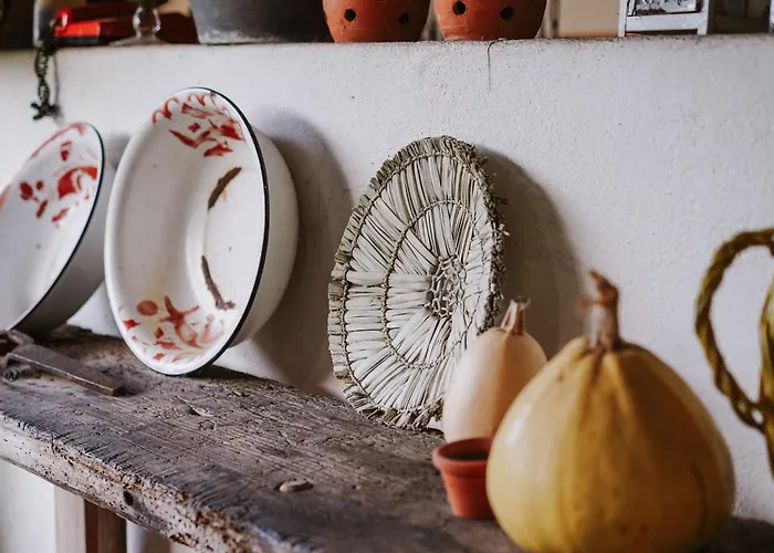 Casa Rural * Oliveira do Bairro