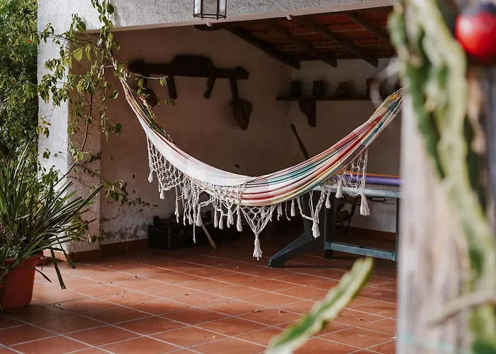 Tatil Evi Casa Rural Oliveira do Bairro